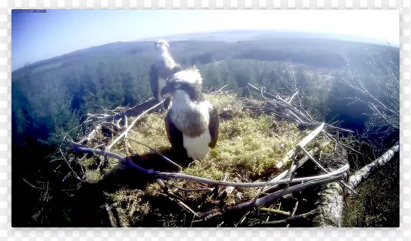 ��ɽ��-������