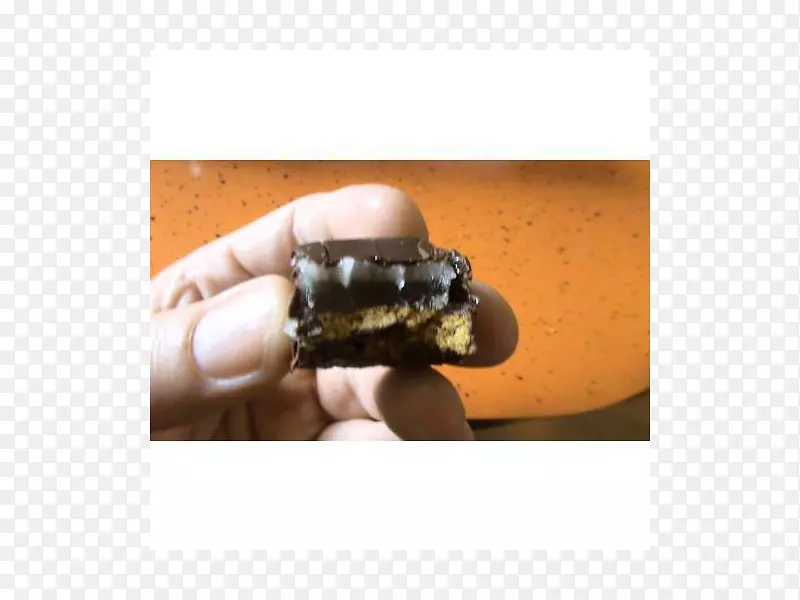 ��ָ-������