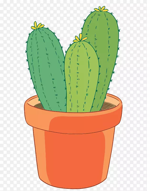 �����ƿ�ֲ����������������-������