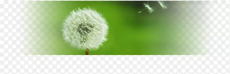 ��д-������