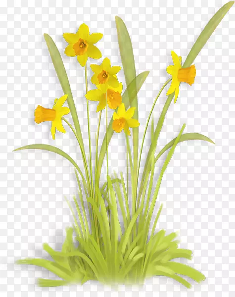 �л����������-������