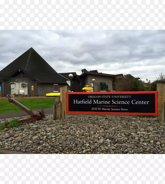 ��������-���طƶ��º�լ-������