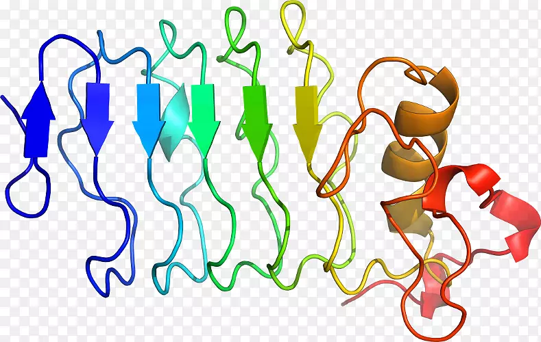 �ߵ������������-������