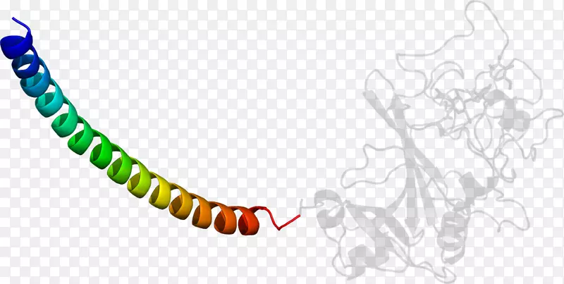 ���������鱦�л�����������鱦����-������