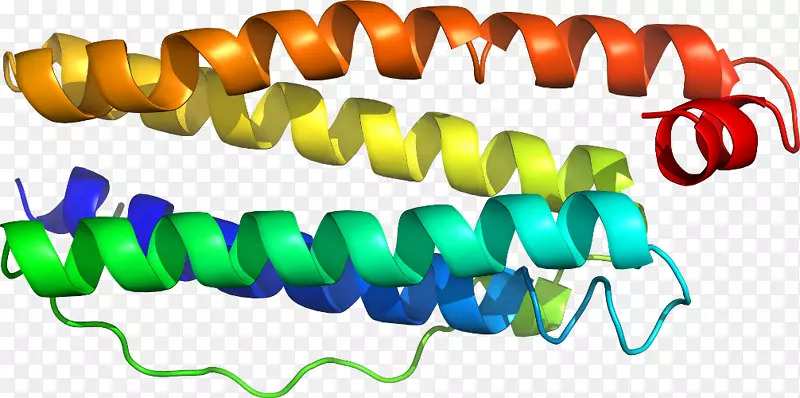 �����������鱦�������鱦����-������