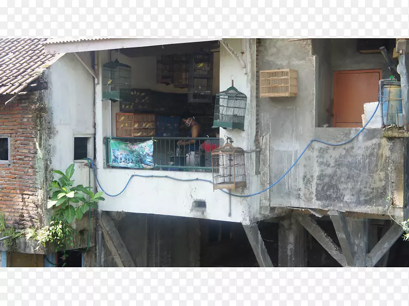 ����������Գ���-����-������