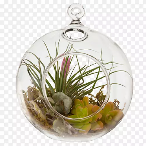 �������ʥ��װ�β;�.���-������