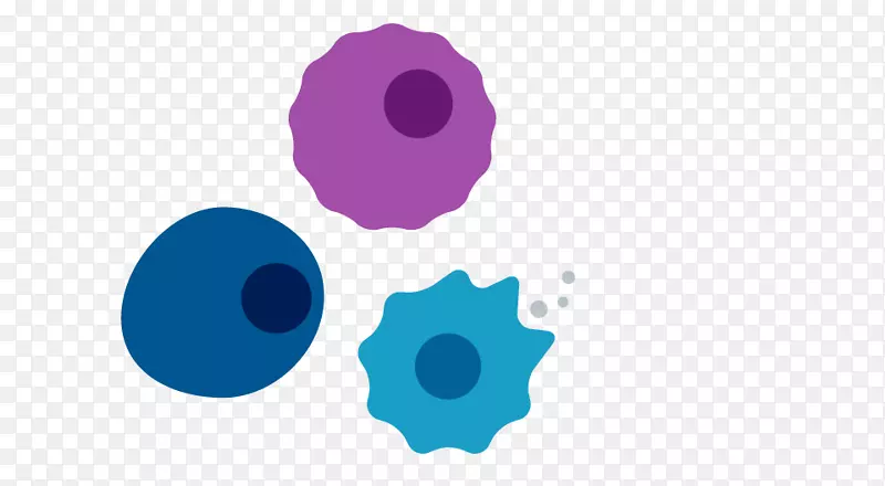 �����ֽ���������-������