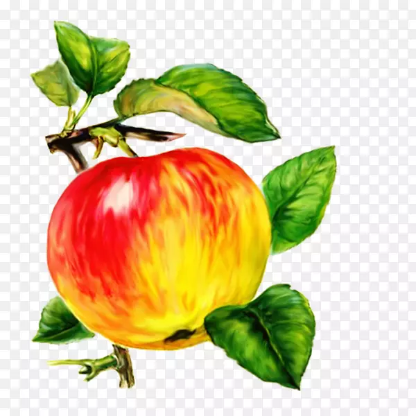 �¸���˹չʾƻ����ƻ��-������