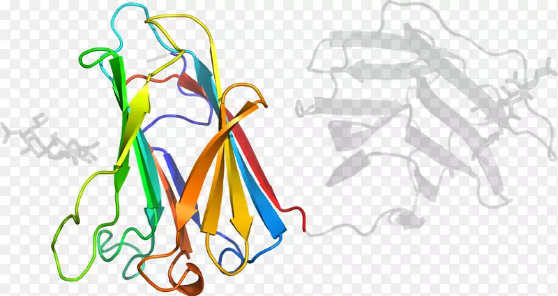 ƽ����Ƽ�����.���-������