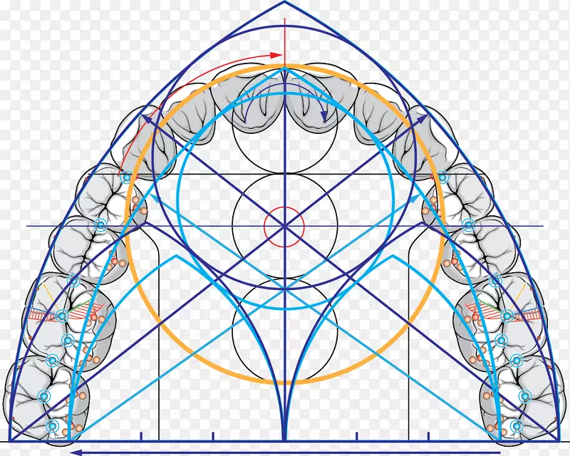 �Գ�Բ��ͼ��-������