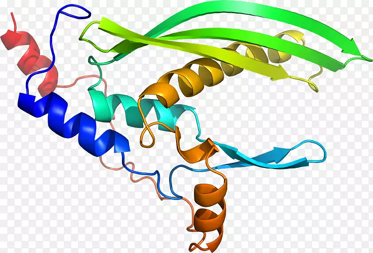 �����߶����������-������