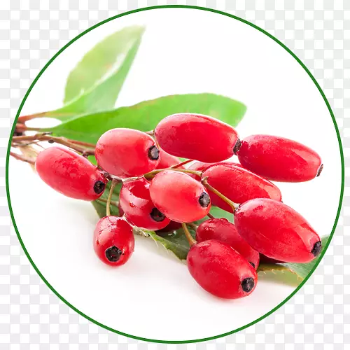 ��Խݮ��ζʳƷ�ݱ�ֲ��ɽ�-������