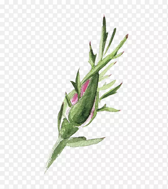 ˮ�ʻ�.ˮ�ʻ�����-������