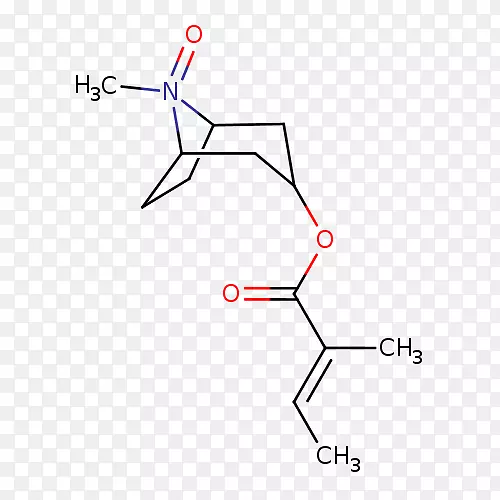 ֱ�ߵ����-������