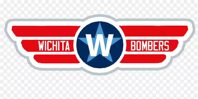 �̱��������-������