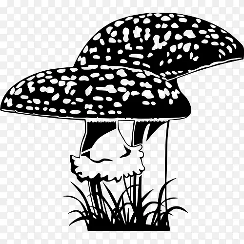 ǽ�����ų�����ʳ���ů�ļ�ͥ�о�-������