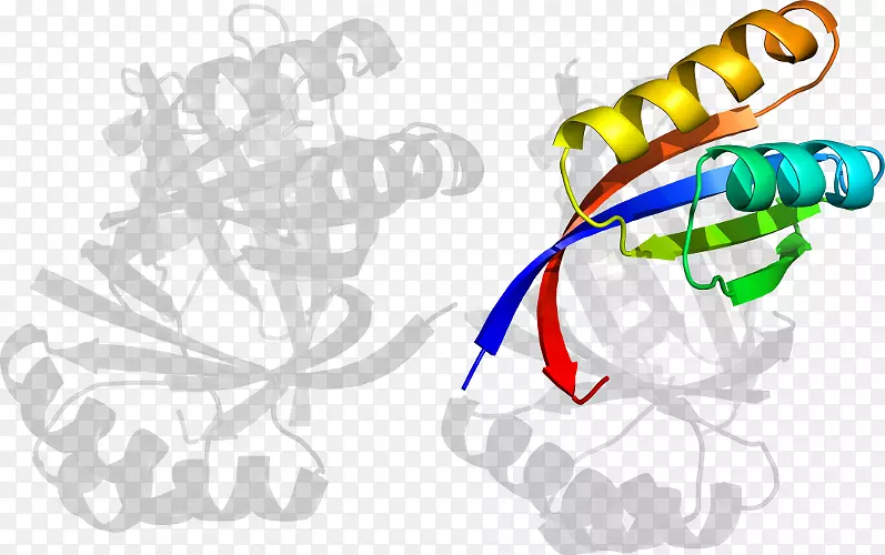 �ߵ������-��-������