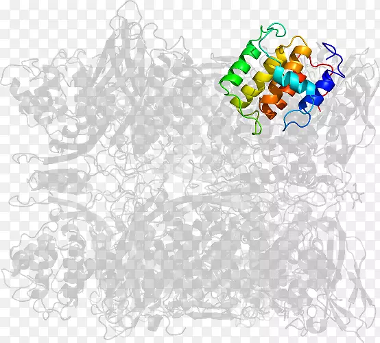 ������������-������