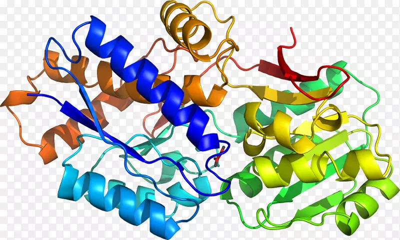 �����߶����������-������