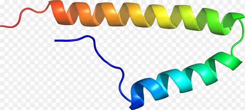 �ߵ������-��-������