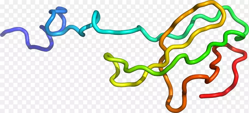 �����߶����������-������