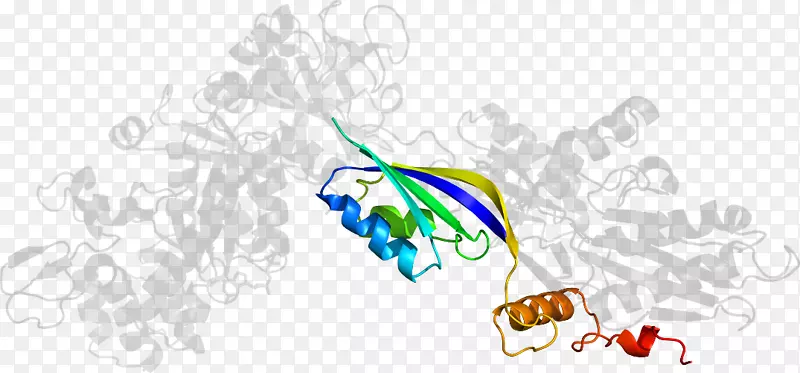 ����ͼ����ƴ���������������-������