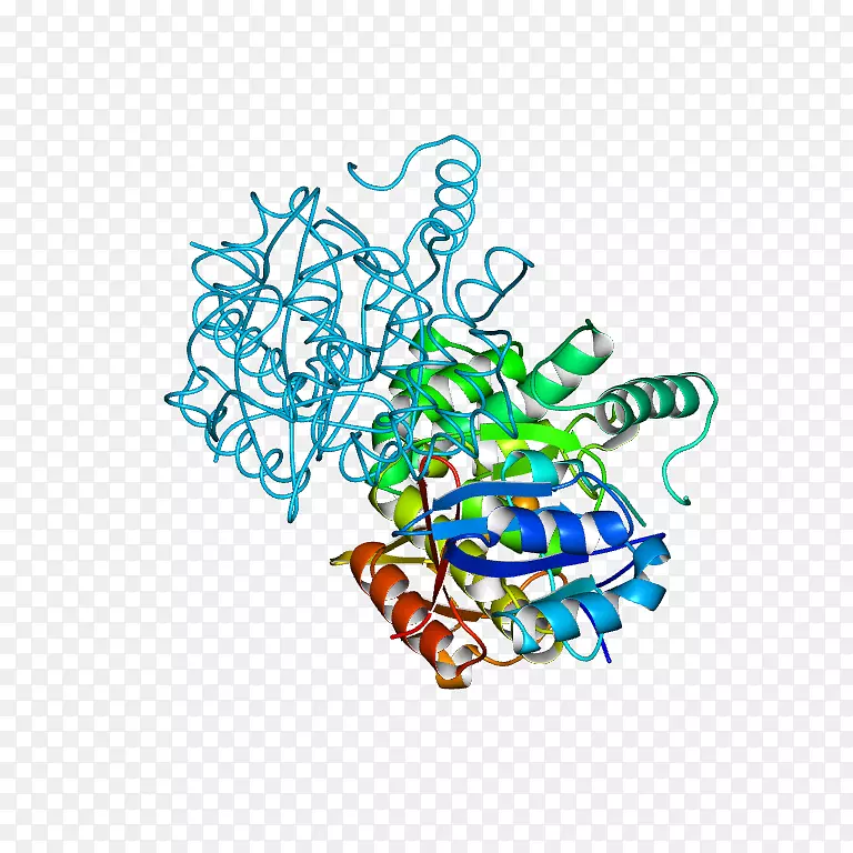 �ߵ������-��-������