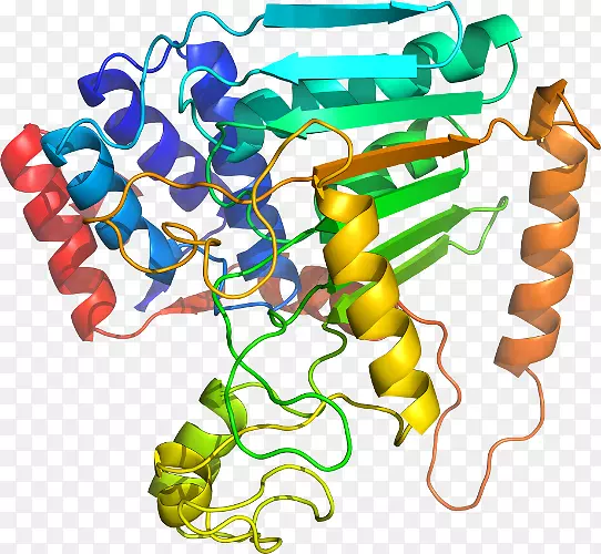 ���������л����߼�������-������