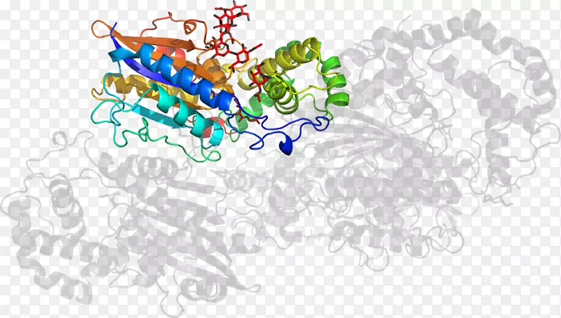 �����ֽ���鱦����������-������