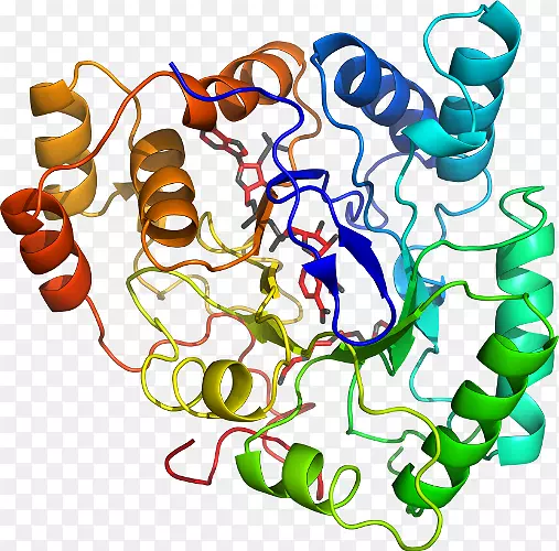 ���������л����߼�������-������