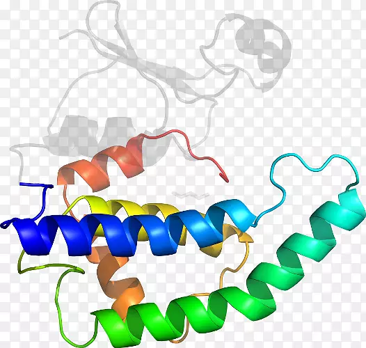 ���������л����߼�������-������