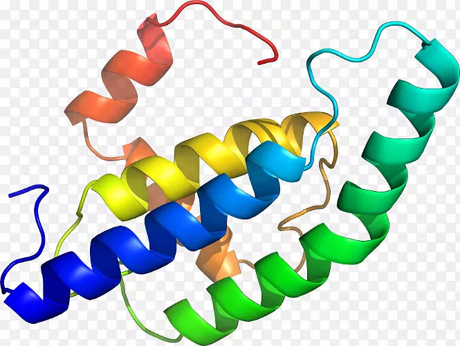 �����鱦���л����������-������