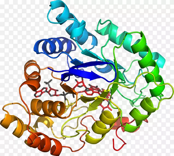 ���������л����߼�������-������