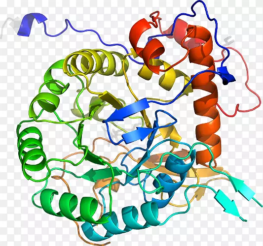 ���߼�����-��-������