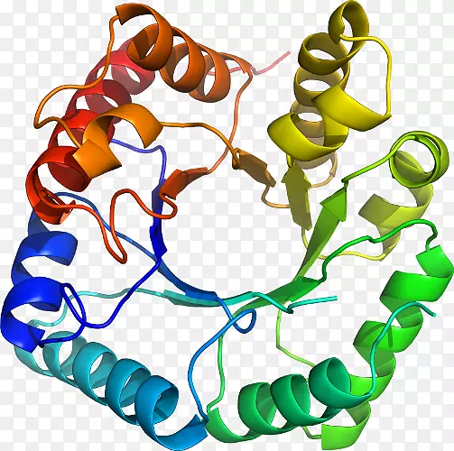 �����鱦�л��������.�鱦-������