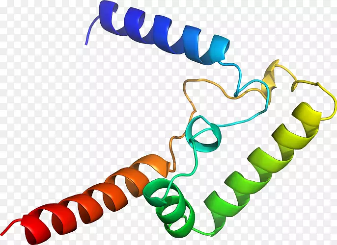 è�Ƶ��ӽ�Ŀ��Ƶyoutube-cat-������