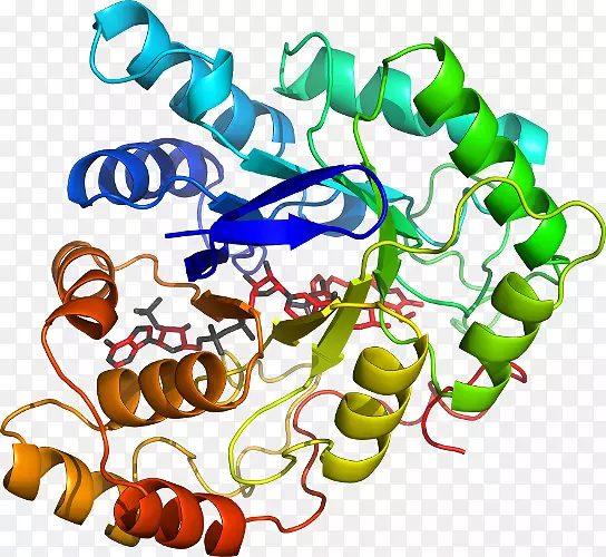 �Զ����ĺϳɰ��������ﵰ��-ǰ������D2-������