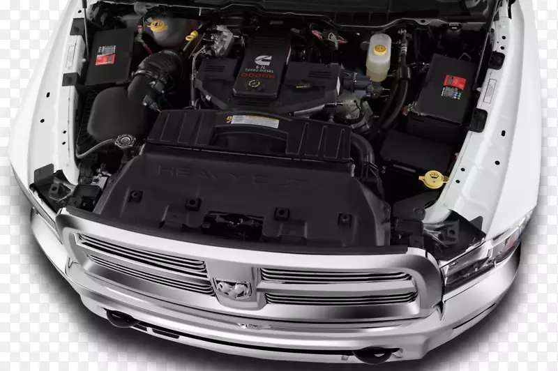 ��������̶�С����Ƥ��-����-������