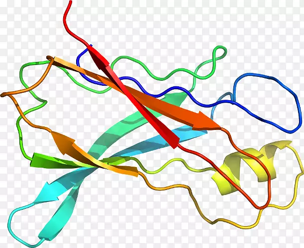 �ߵ������-��-������