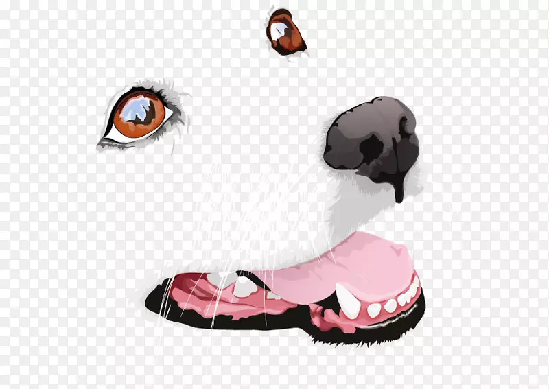 �����ţ˹���ؼ�����-����-������