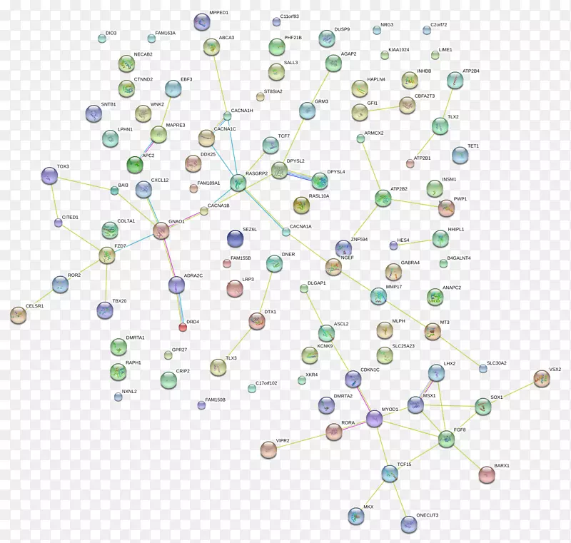 �����߳������ε���-������