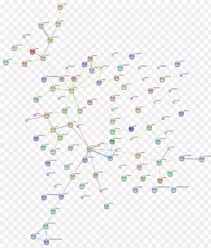 ֱ�ߵ����-������