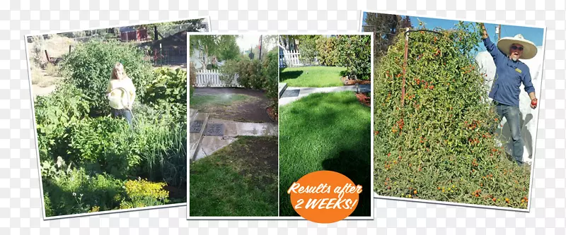 ԰�ֲ���̬�����˹���-������