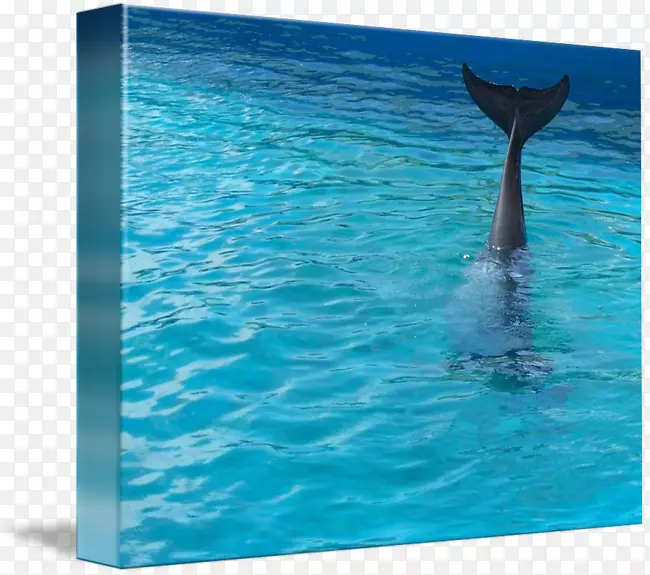 ��ͨ���Ǻ������к���ˮ-ˮ-������