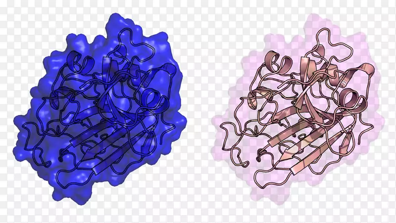 �鱦����.���-������