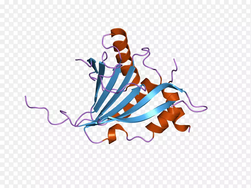 �����ֽ����ָ������.�����-������