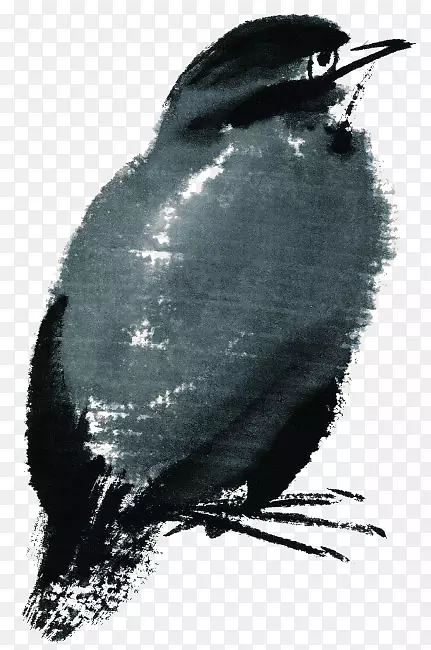 ˮ�ʻ�ˮ�ʻ�-������