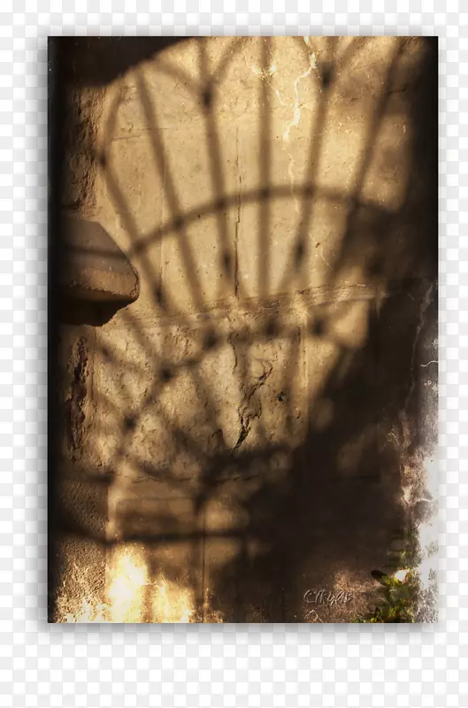 ��Ӱ��-������