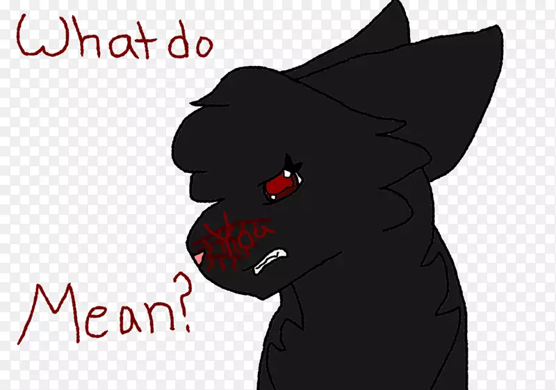 ���롢����è���������ӡ���-������